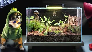 90 TAGE OHNE NAHRUNG - ÜBERLEBEN VON ISOPODEN IM TERRARIUM