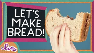 Why Does Bread Have Holes In It? | The Science of Cooking | SciShow Kids