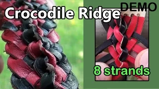 DEMO 16: Crocodile Ridge Braid w/ 8 Strands of Leather