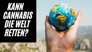 Könnte Cannabis die Umwelt retten ? Cannabis Im Kampf gegen den Klimawandel.