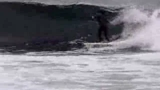 peter henderson surfing cowries