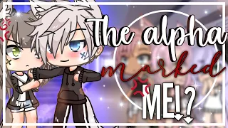 The alpha marked me || GLMM || Gachalife minimovie || Love story ||