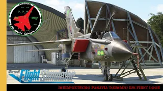IndiaFoxtEcho Panavia Tornado IDS First Look | Tonka | Mighty Fin | Electric Flick-Knife | MSFS