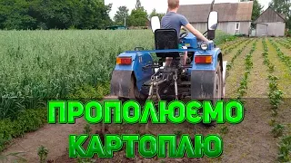 Прополюємо картоплю | DW 244B