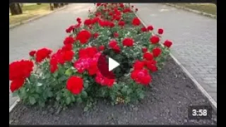 Это Донецк, город боец! Попков Олег. Песня о жизни в городе