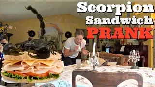 REAL SCORPION SANDWICH PRANK - Top Husband Vs Wife Pranks Of 2017