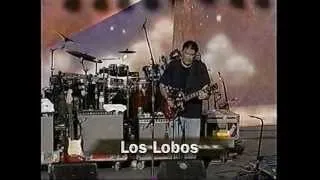 Los Lobos 'Bertha' live 1997 Furthur Festival concert performance