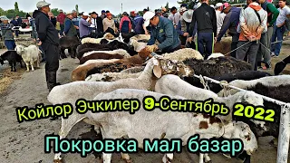 Покровка мал базар Койлор 9-Сентябрь 2022