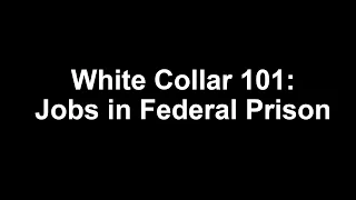 White Collar 101: Jobs in Federal Prison