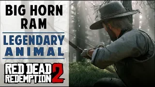 Legendary Big Horn Ram | How to Track, Find & Kill Legendary Animal | Red Dead Redemption 2