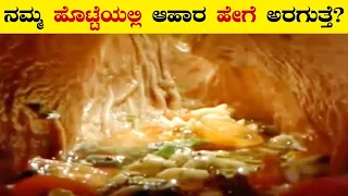 ನಮ್ಮ ಹೊಟ್ಟೆಯಲ್ಲಿ ಆಹಾರ ಹೇಗೆ ಅರಗುತ್ತೆ? | How Your Digestive System Works in Kannada | VismayaVani