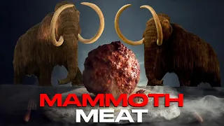Woolly Mammoth "Meatball" Made With Prehistoric DNA