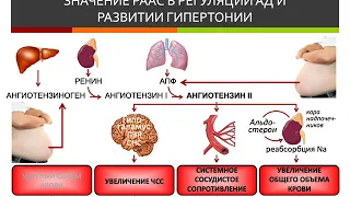 Гипертензия (лектор И.Ю.Малышев)