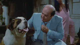 Vai avanti tu che mi vien da ridere: le avventure di Bellachioma e il cane Onofrio - Con Lino Banfi