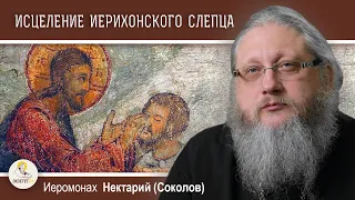 ИСЦЕЛЕНИЕ ИЕРИХОНСКОГО СЛЕПЦА (Лк.18:35-43).  Иеромонах Нектарий (Соколов).  Воскресное Евангелие