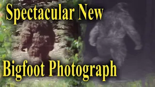 Spectacular New Bigfoot Photograph Analyzed