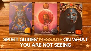 Spirit Guides' message on what you are not seeing ✨💡✨ | Pick a Card