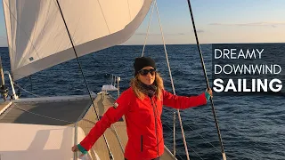 Dreamy DOWNWIND SAILING + the Power of the CHESAPEAKE BAY Oyster | Harbors Unknown Ep. 49