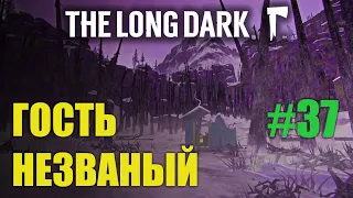 The Long Dark | Выживание 100+ дней | Незваный гость | серия 37