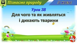 Пізнаємо природу. Урок 38. Для чого та як живляться і дихають тварини