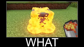 Minecraft realistic wait what meme, Lava, Water, Slime #350