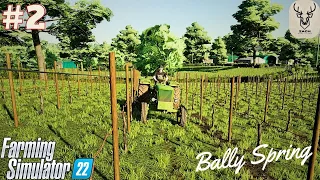 Straw Baling, Cutting Grass & Vineyard Cultivations | Bally Spring | FS22| Timelapse #2