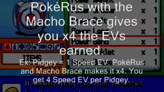 How To EV Train a Pokemon