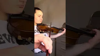 Violin 🎻