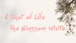 A SHOT OF LIFE - The Blossom Waltz - Sony a6500 cinematic video