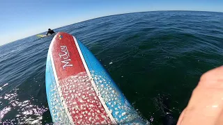Surf POV Spot X out behind Greg on another little gem..