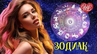 150 ПЕСЕН О ЛЮБВИ ♥ 600 МИНУТ НАСЛАЖДЕНИЯ ♥ БУКЕТ ИЗ БЕЛЫХ РОЗ ♥ WLV ЗОДИАК