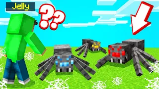 Which SPIDER Is SLOGO?! (Minecraft Guess Who)