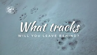 What tracks will you leave behind?