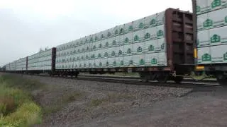 BNSF 3198 West [Brainerd local] near Boylston, WI