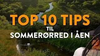 Vores 10 bedste tips, til at fange flere havørreder i åen! TOP 10