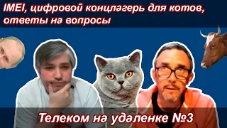 Телеком на удаленке №3: смартфоны по IMEI, цифровой концлагерь для котов, ответы на вопросы