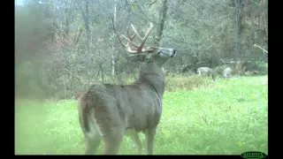 Use Weather Patterns to Hunt Nocturnal Bucks - Deer Hunting