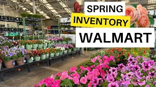 Walmart Garden Center Whats New!🙂🥬🌷Spring Inventory 2024 #walmart