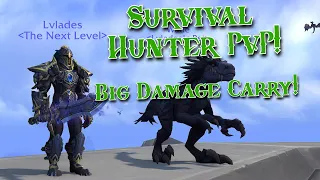 CRANKING on the Survival Hunter! Big Dam SV Hunter PvP! - WoW Dragonflight 10.2.5