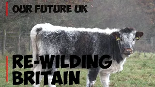 RE-WILDING BRITAIN || The Key To Saving Our Wildlife [DOCUMENTARY]