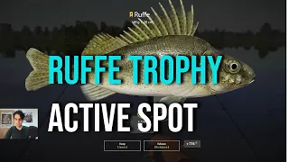 Ruffe Trophy at Volkhov River - Active Spot Russian Fishing 4