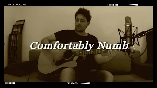 Comfortably Numb - Pink Floyd (Acoustic Cover)