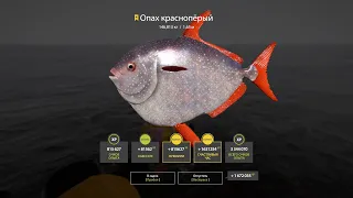 Русская Рыбалка 4! Трофейный Опах + Трофеи Норвежского Моря!!!