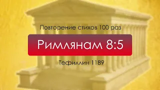 Тефиллин. Римлянам 8:5. Повторение стихов 100 раз