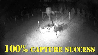 WILD HOG CONTROL | JAGER PRO™ TV Show | CAPTURE SUCCESS