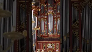 Pulling out all the Stops of the largest mechanical organ in Europe! 😀 #organ #music #church