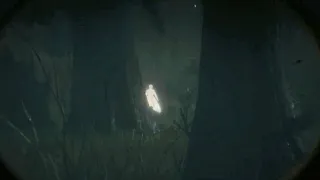 Red Dead Redemption 2 Found the ghost of the Girl Найден призрак Девушки