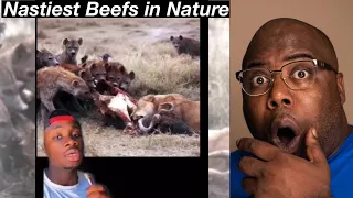 Animals that Have BEEF Parts 1-8