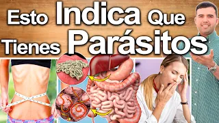 Limpieza De Parásitos En 3 Pasos - Cómo Eliminar Los Bichos Que Tienes En Tu Cuerpo