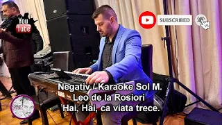 Negativ / Karaoke ❌ Leo de la Rosiori - Hai, Hai, ca viata trece.